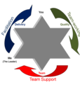 Teamstar Model